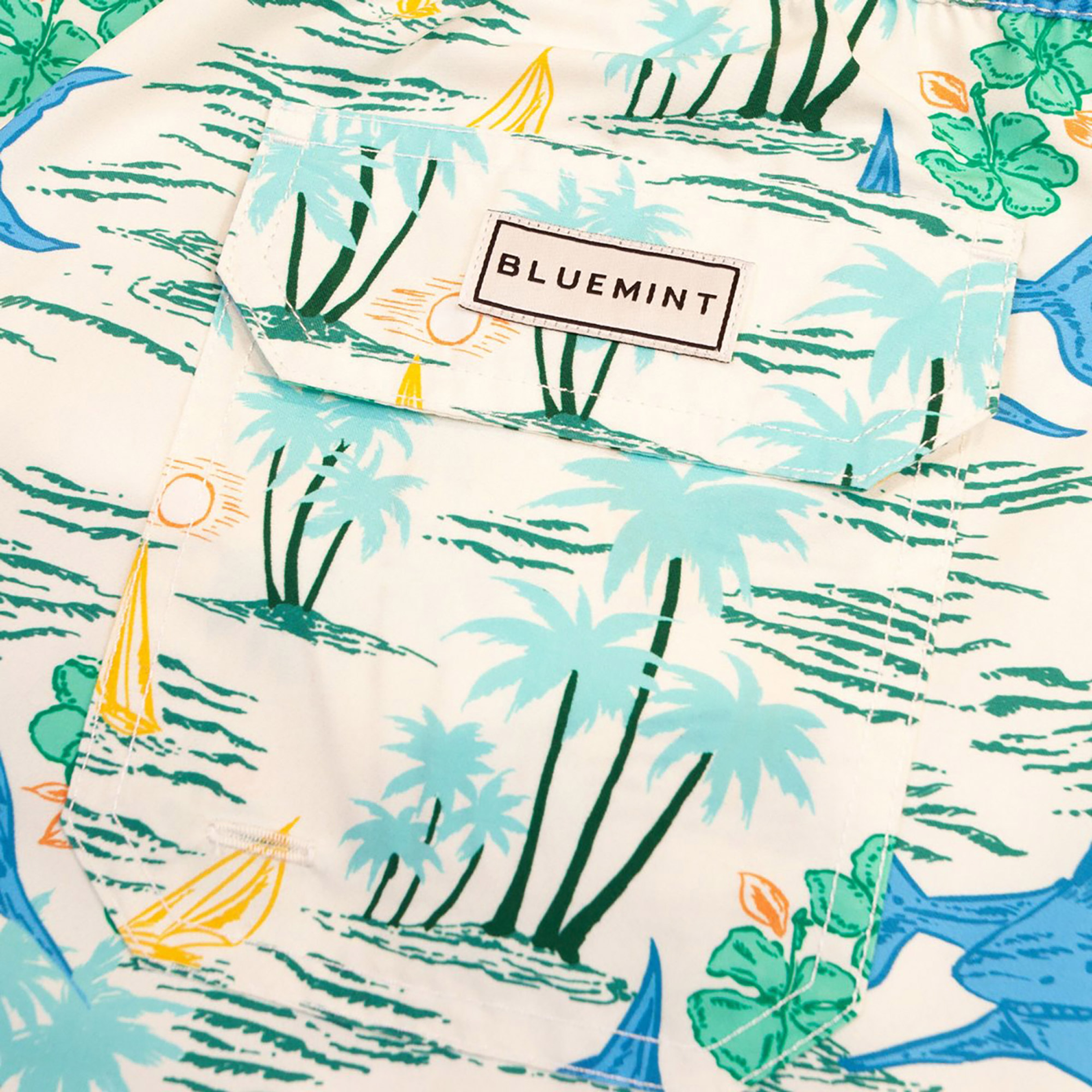 Bluemint Erkek Renkli Mayoşort