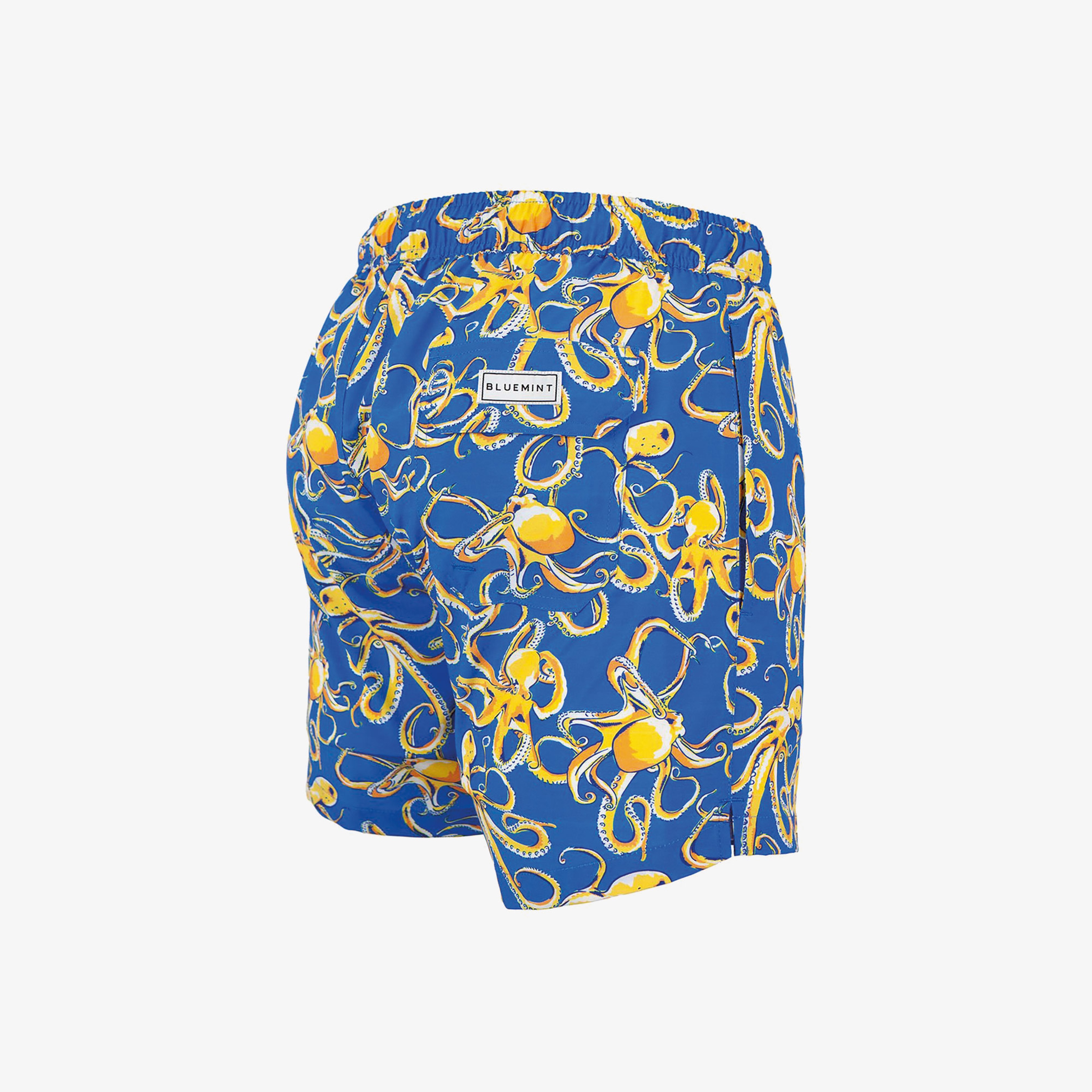 Bluemint Erkek Mavi Mayoşort