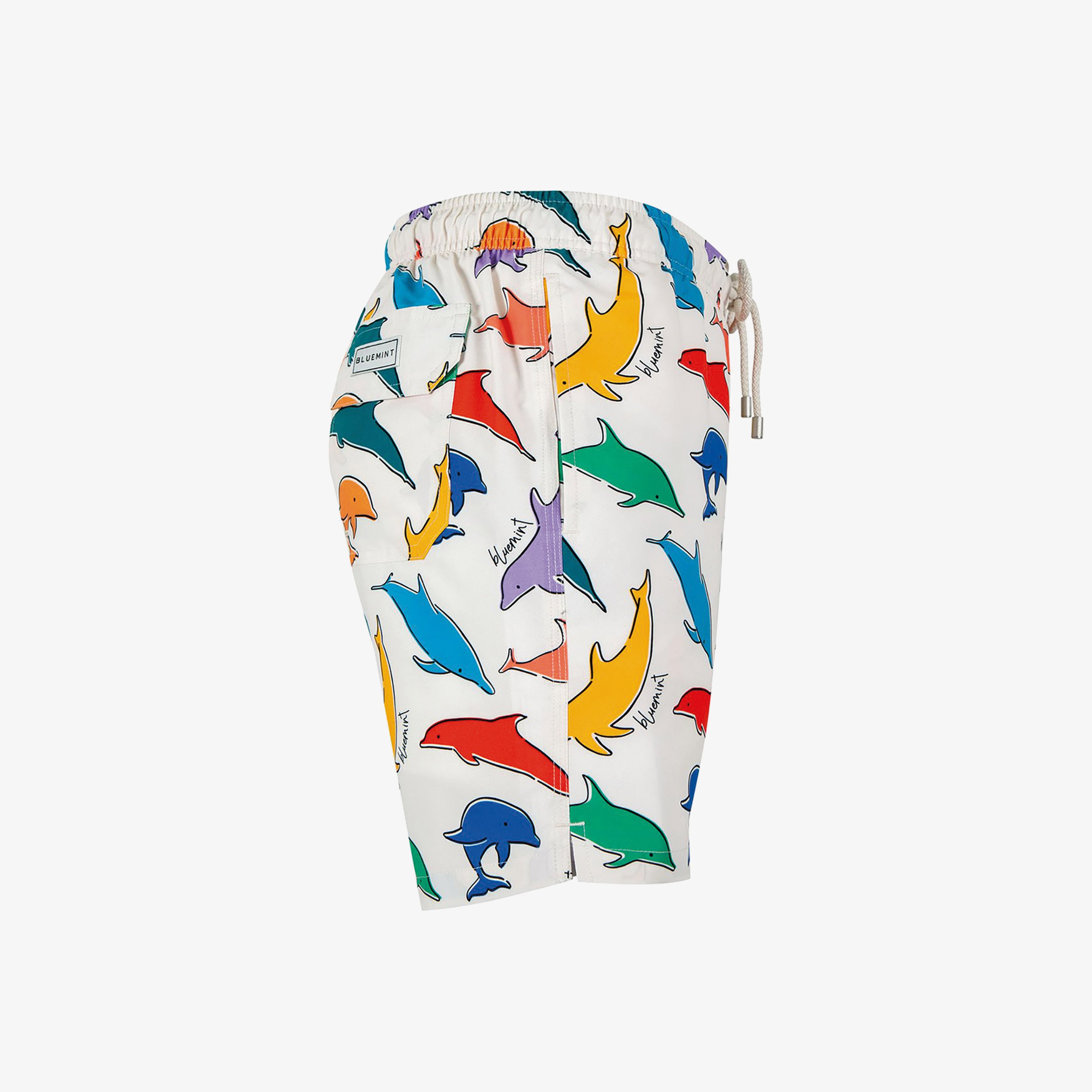 Bluemint Erkek Renkli Mayoşort