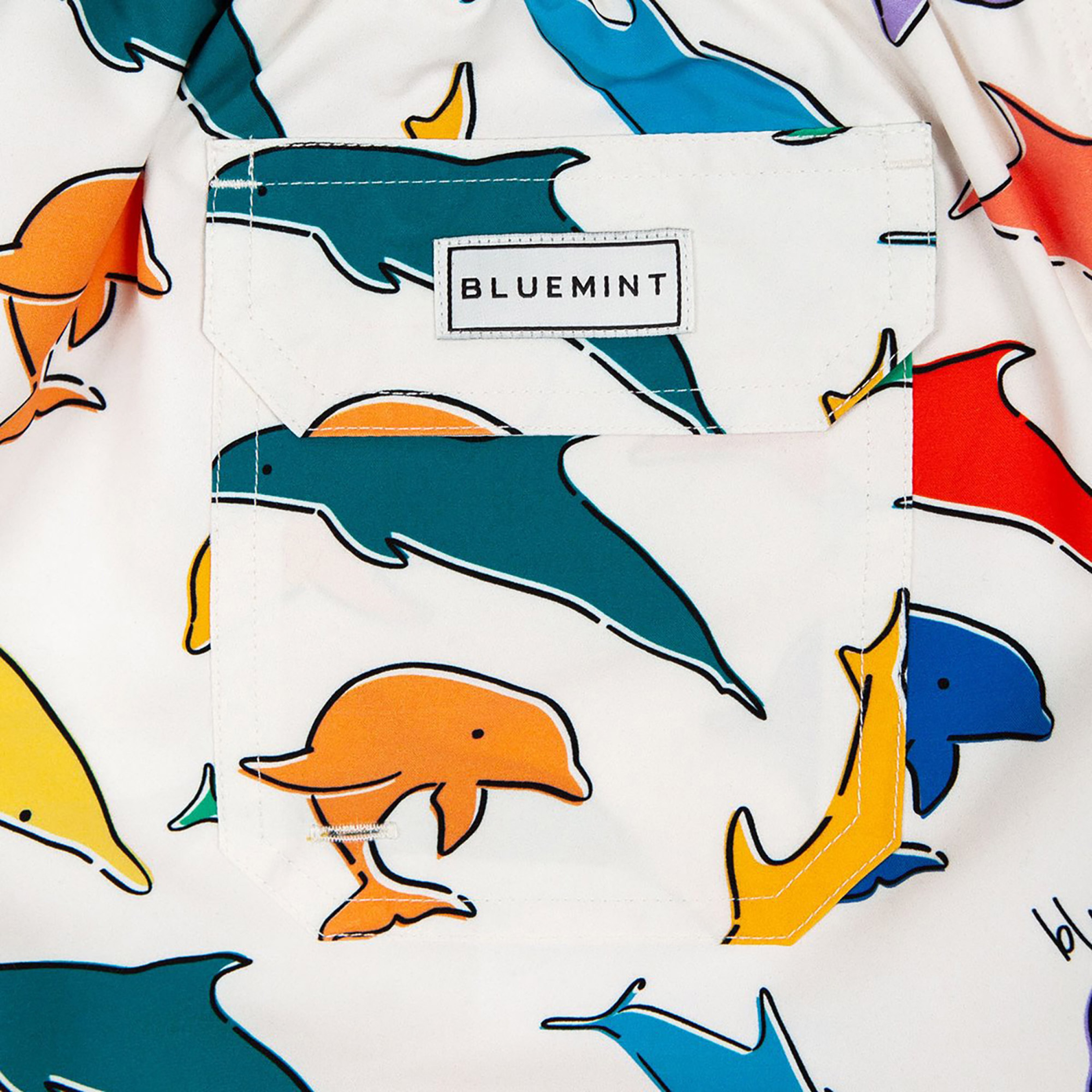 Bluemint Erkek Renkli Mayoşort