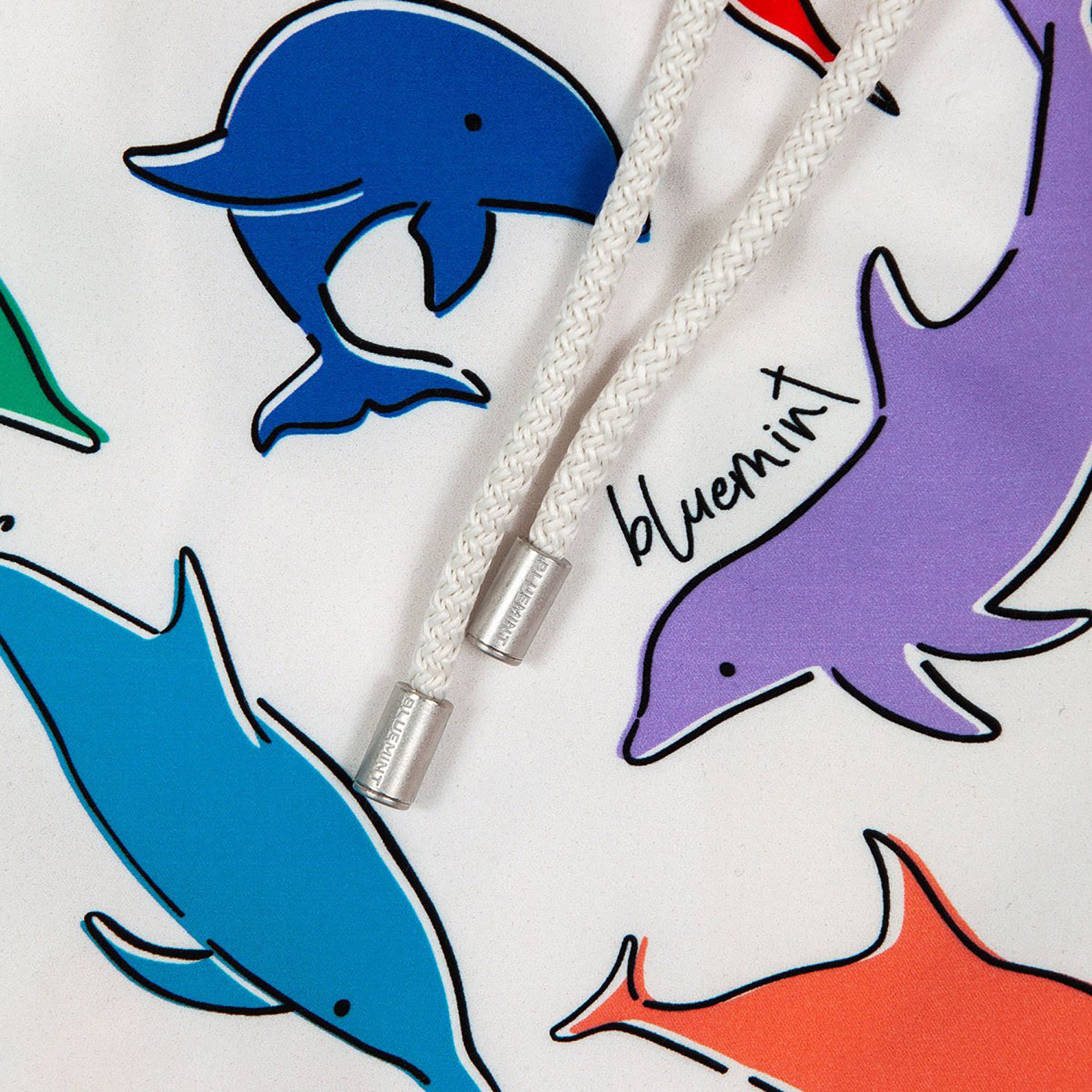 Bluemint Erkek Renkli Mayoşort