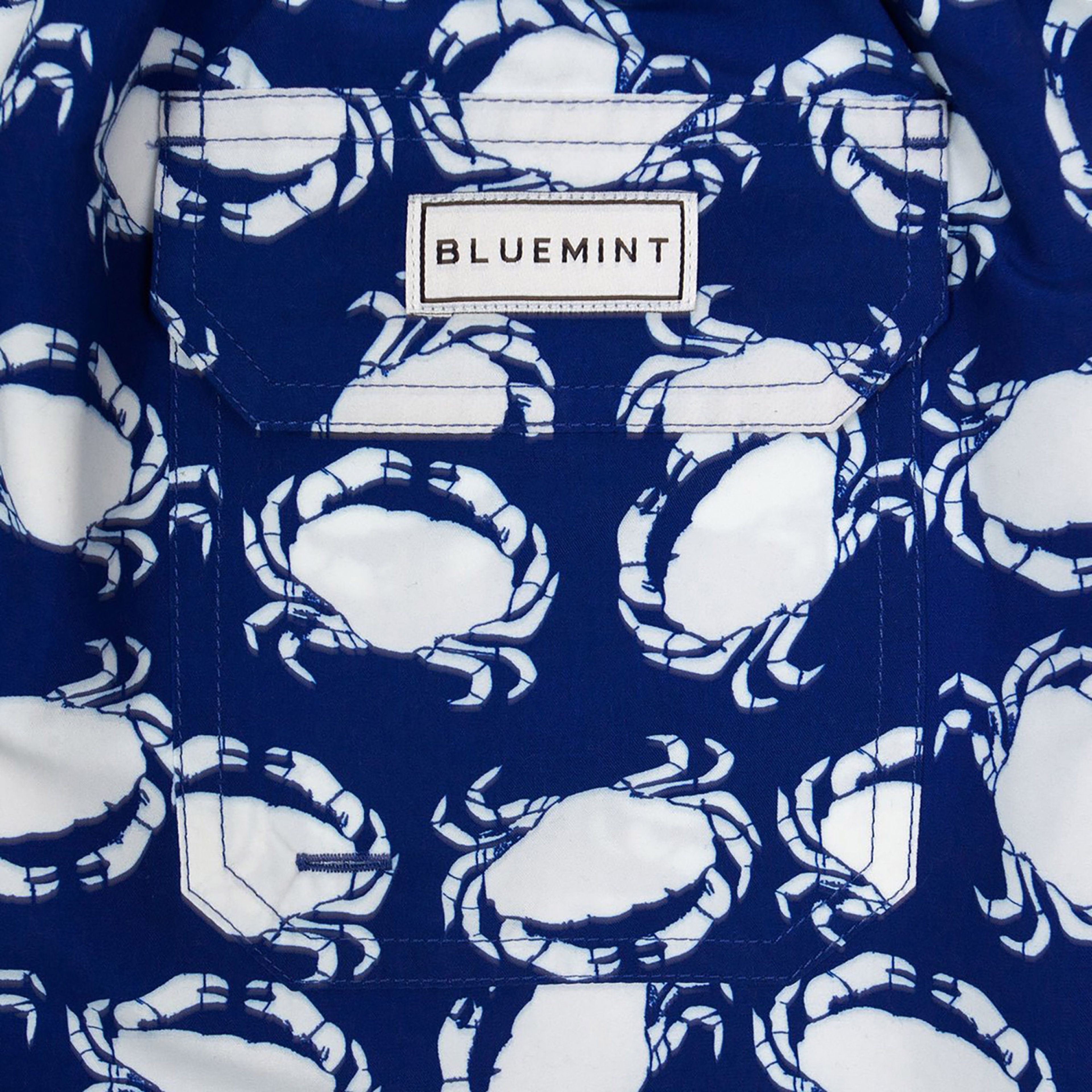 Bluemint Arthus Erkek Lacivert Mayoşort