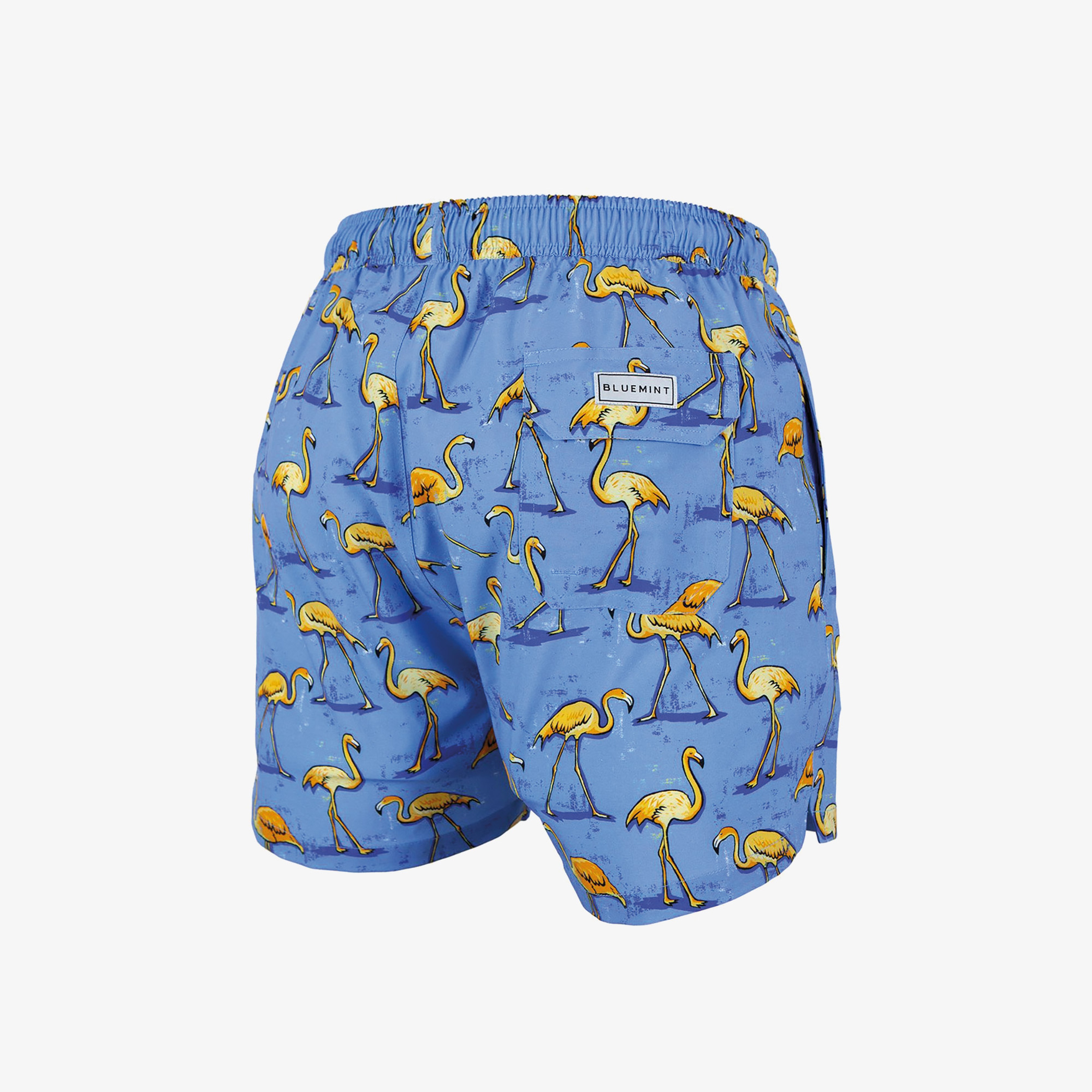 Bluemint Arthus Stretch Erkek Mavi Mayoşort