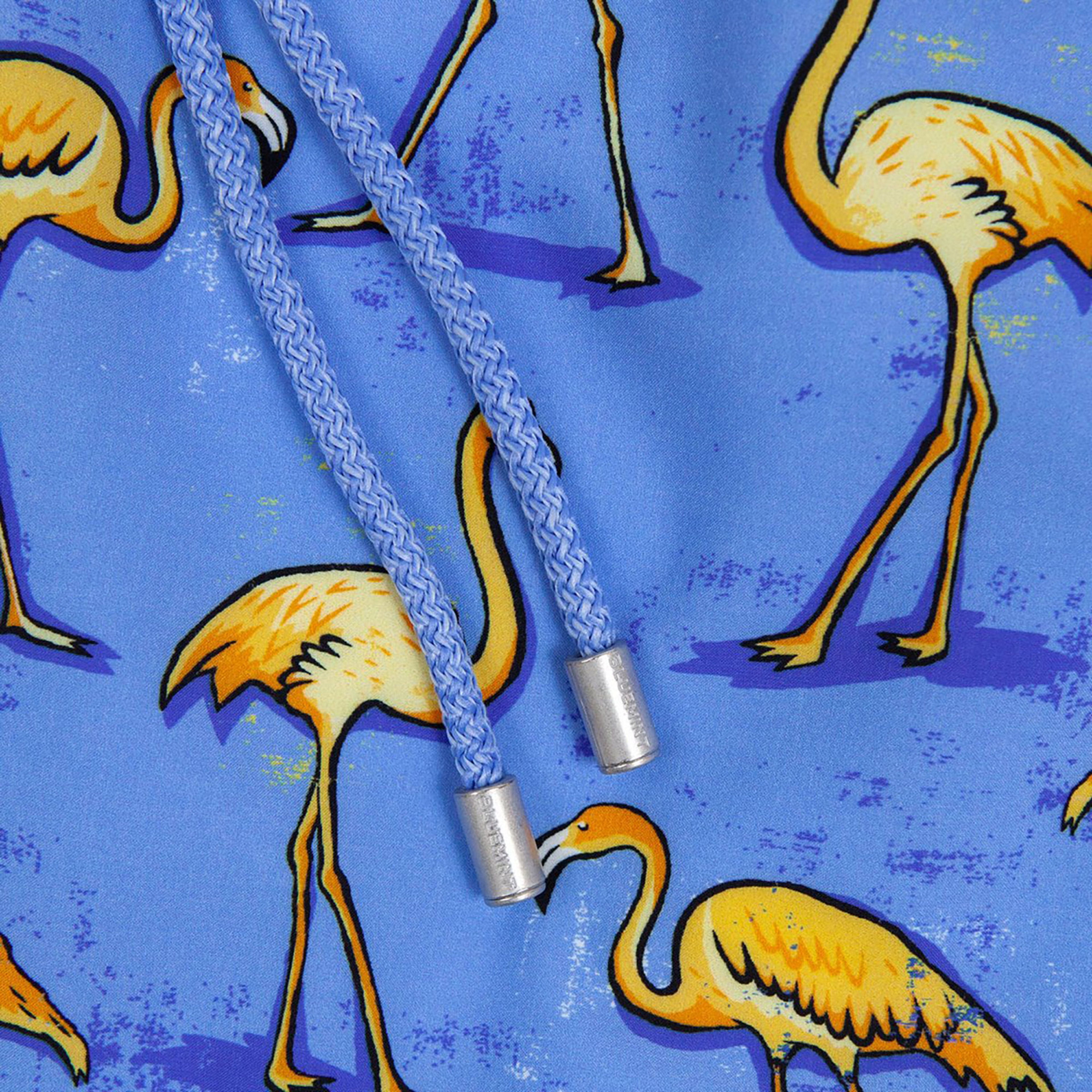 Bluemint Arthus Stretch Erkek Mavi Mayoşort