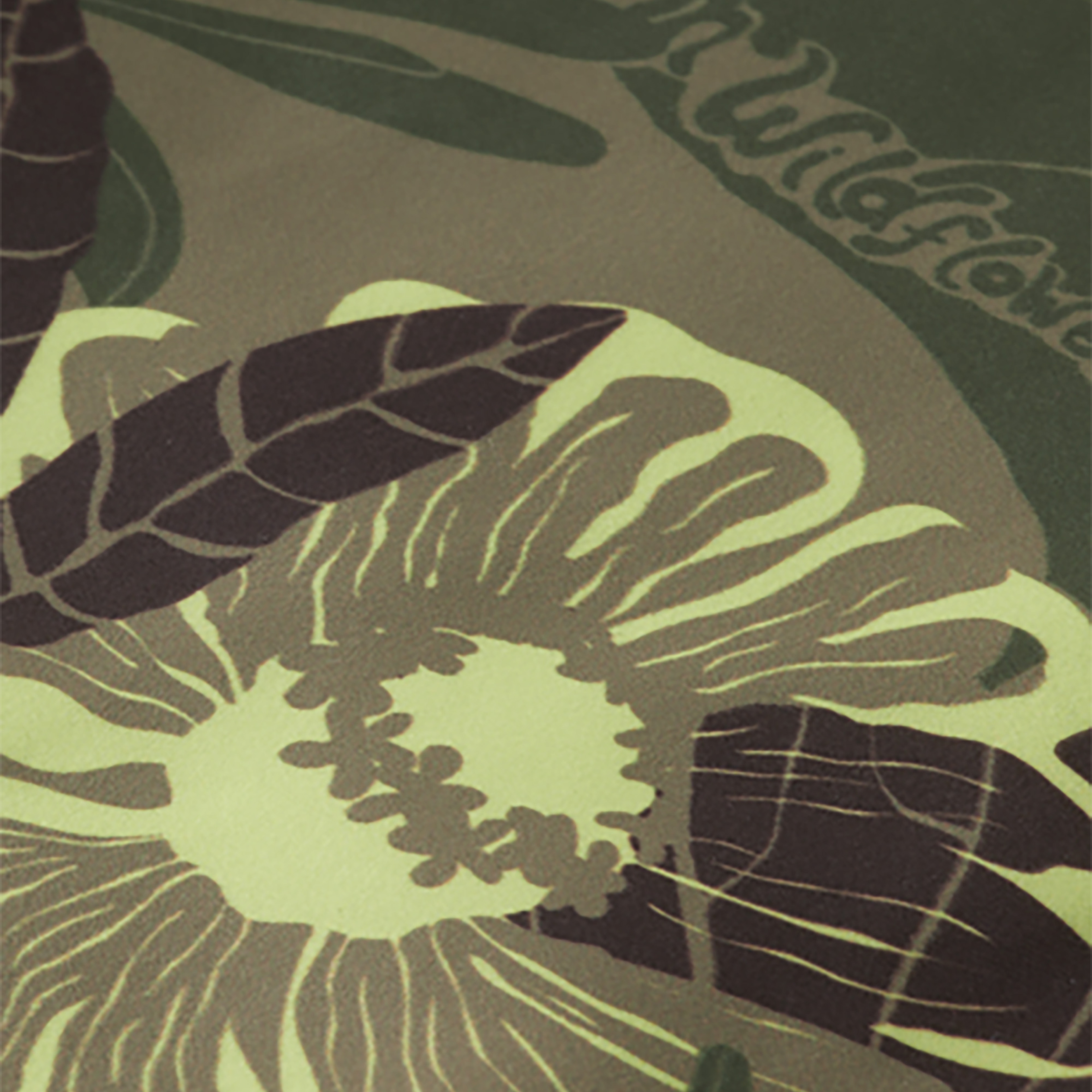 Scotch&Soda Erkek Yeşil Mayo Şort