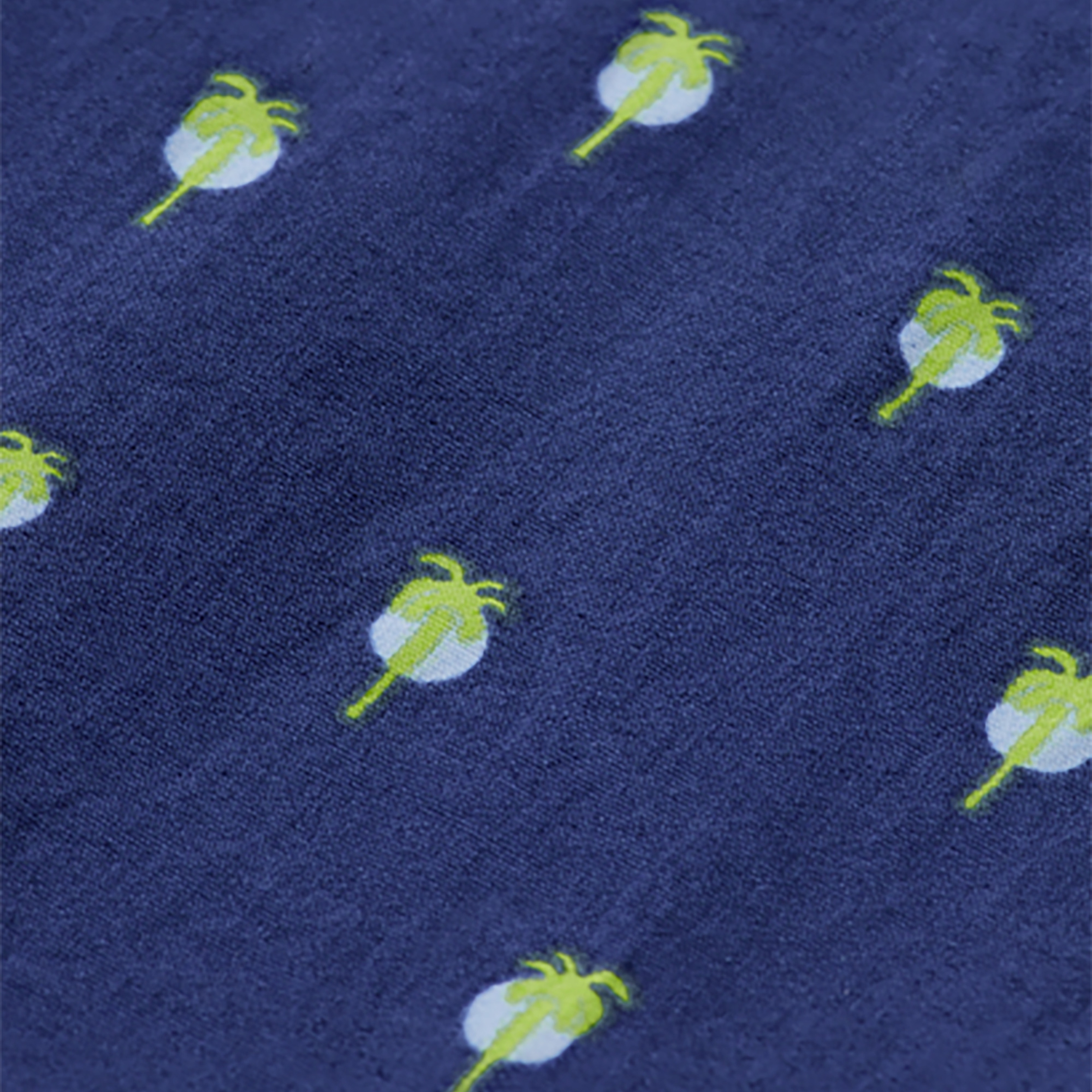 Scotch&Soda Erkek Mavi Mayo Şort