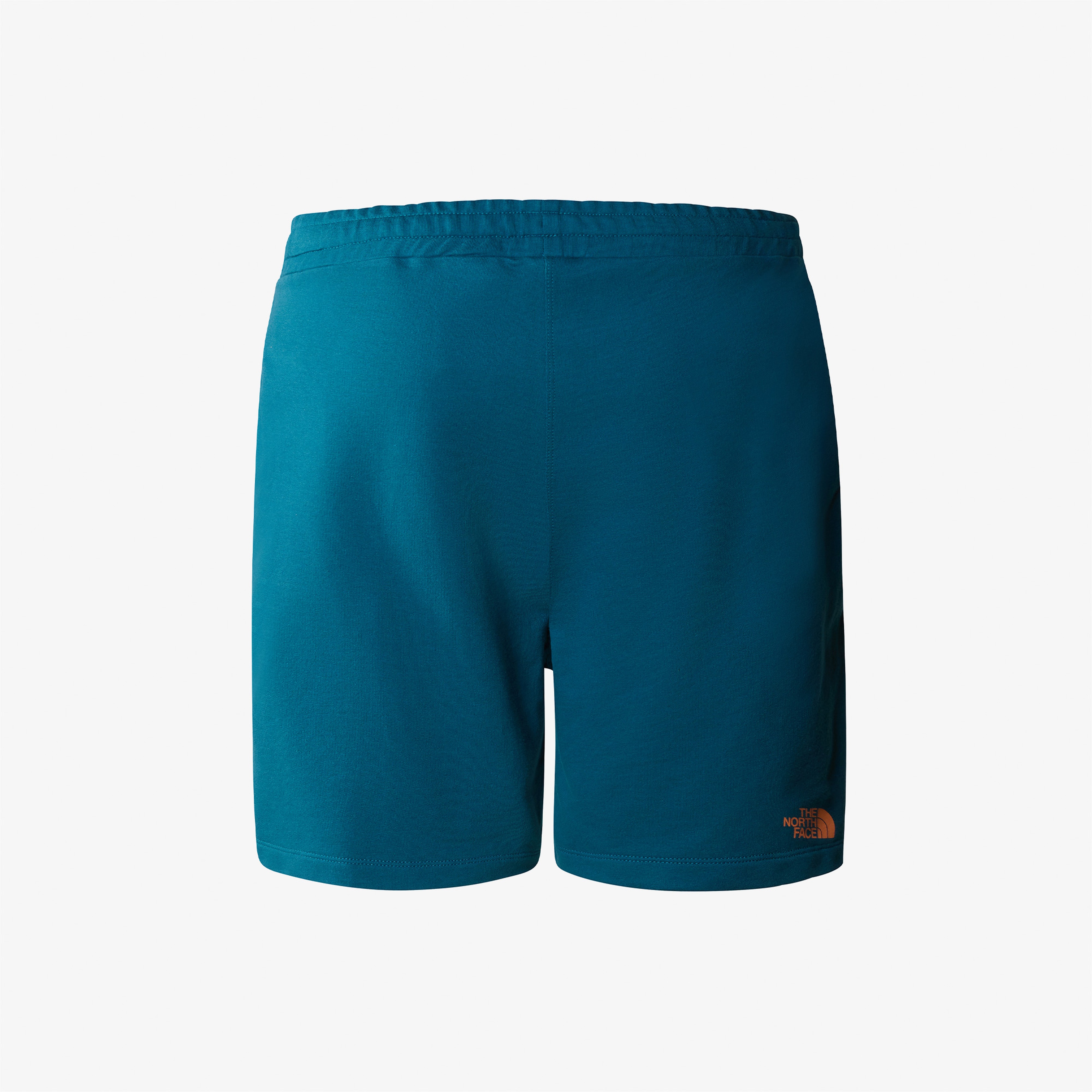 The North Face D2 Graphic Short Erkek Mavi Şort