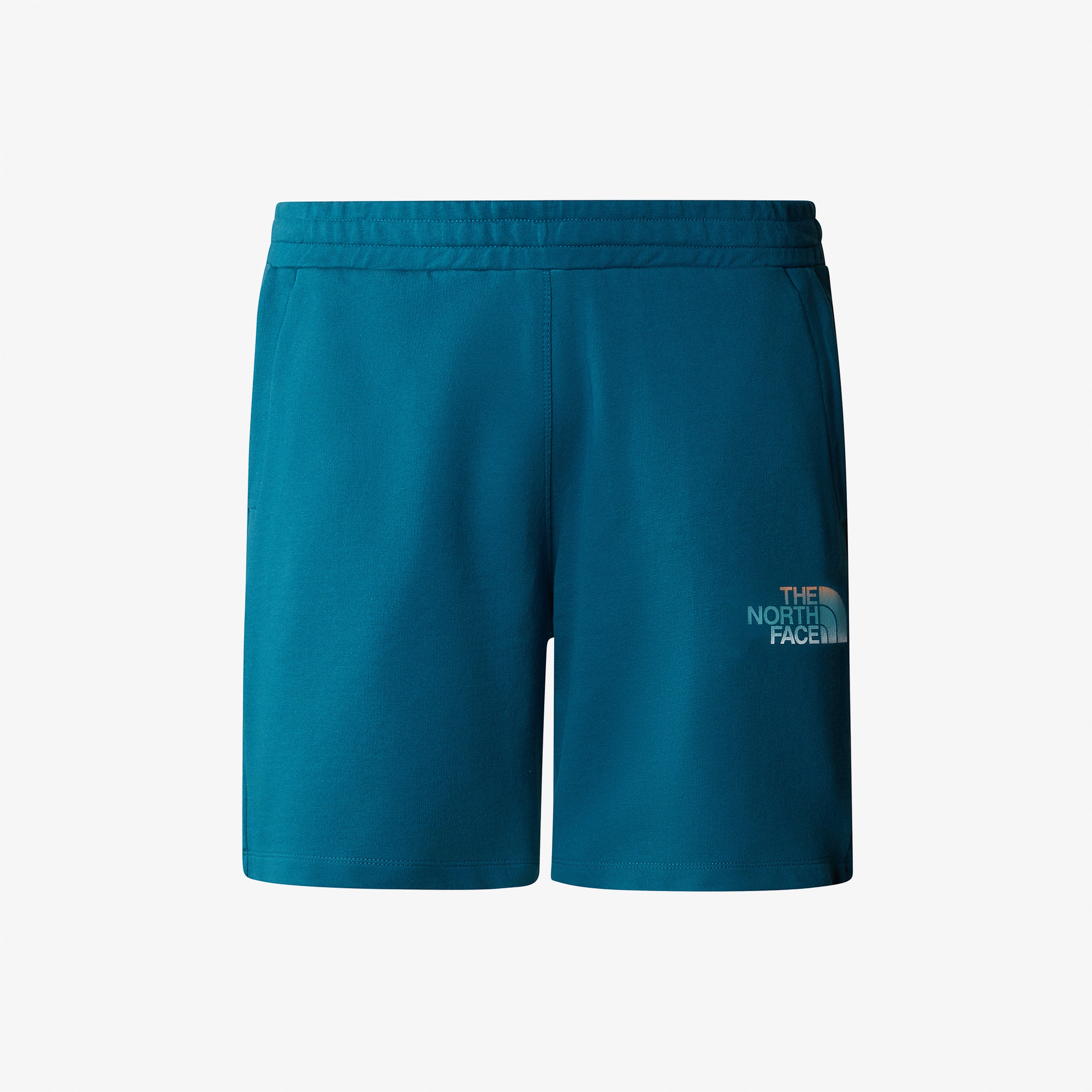 The North Face D2 Graphic Short Erkek Mavi Şort