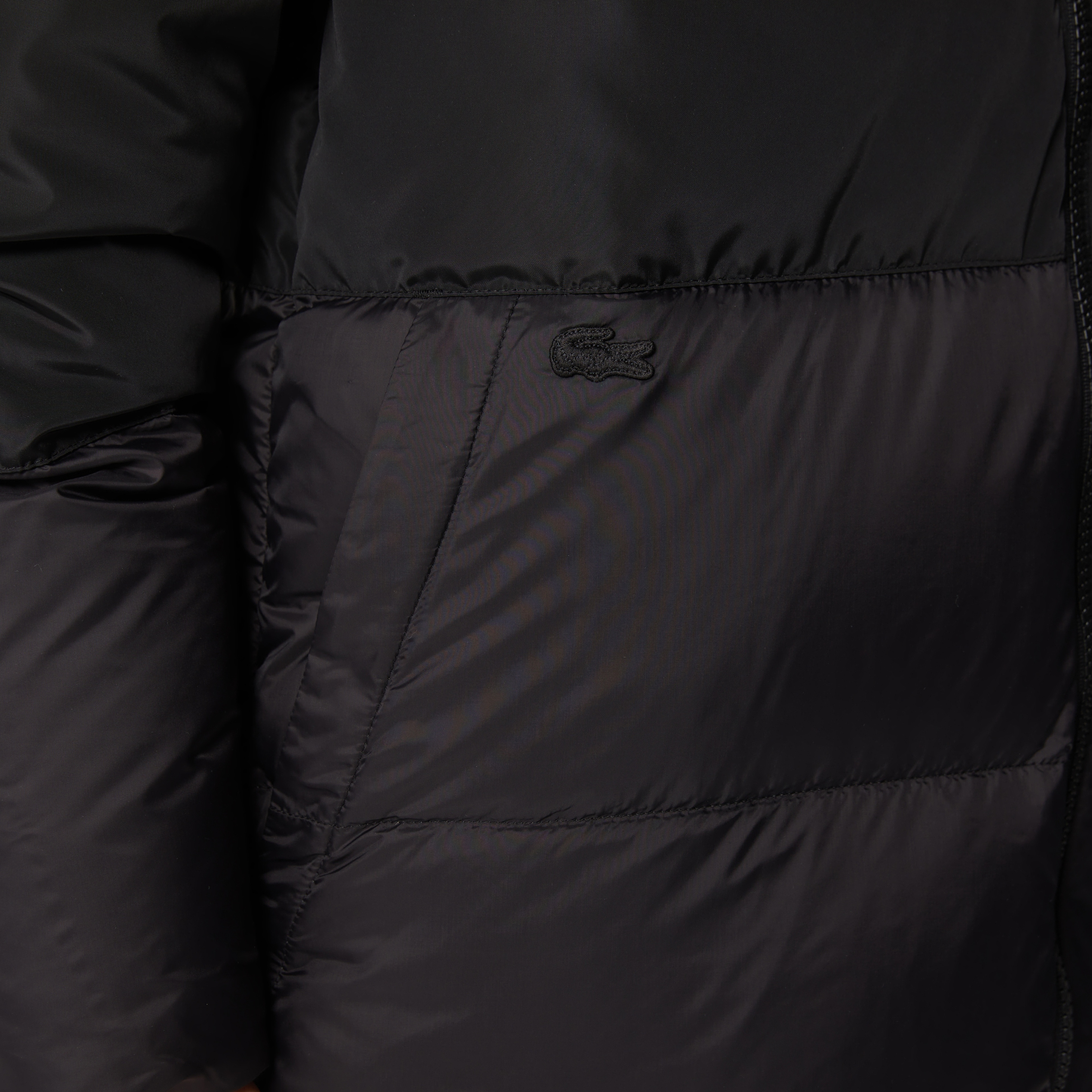 Lacoste Erkek Siyah Mont