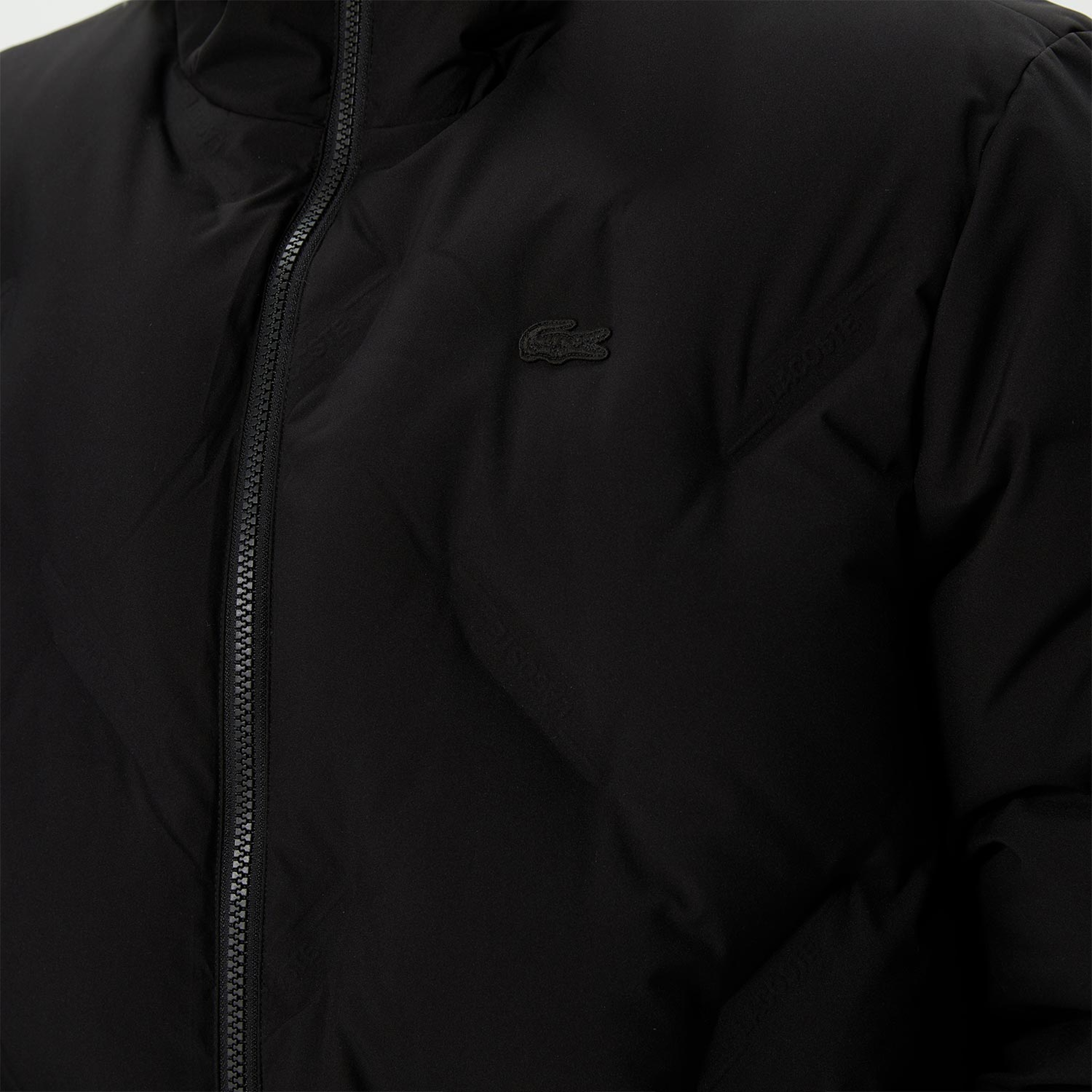 Lacoste Erkek Siyah Mont