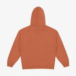 Converse Ssnl Elevated Logo Graphic Erkek Kahverengi Hoodie