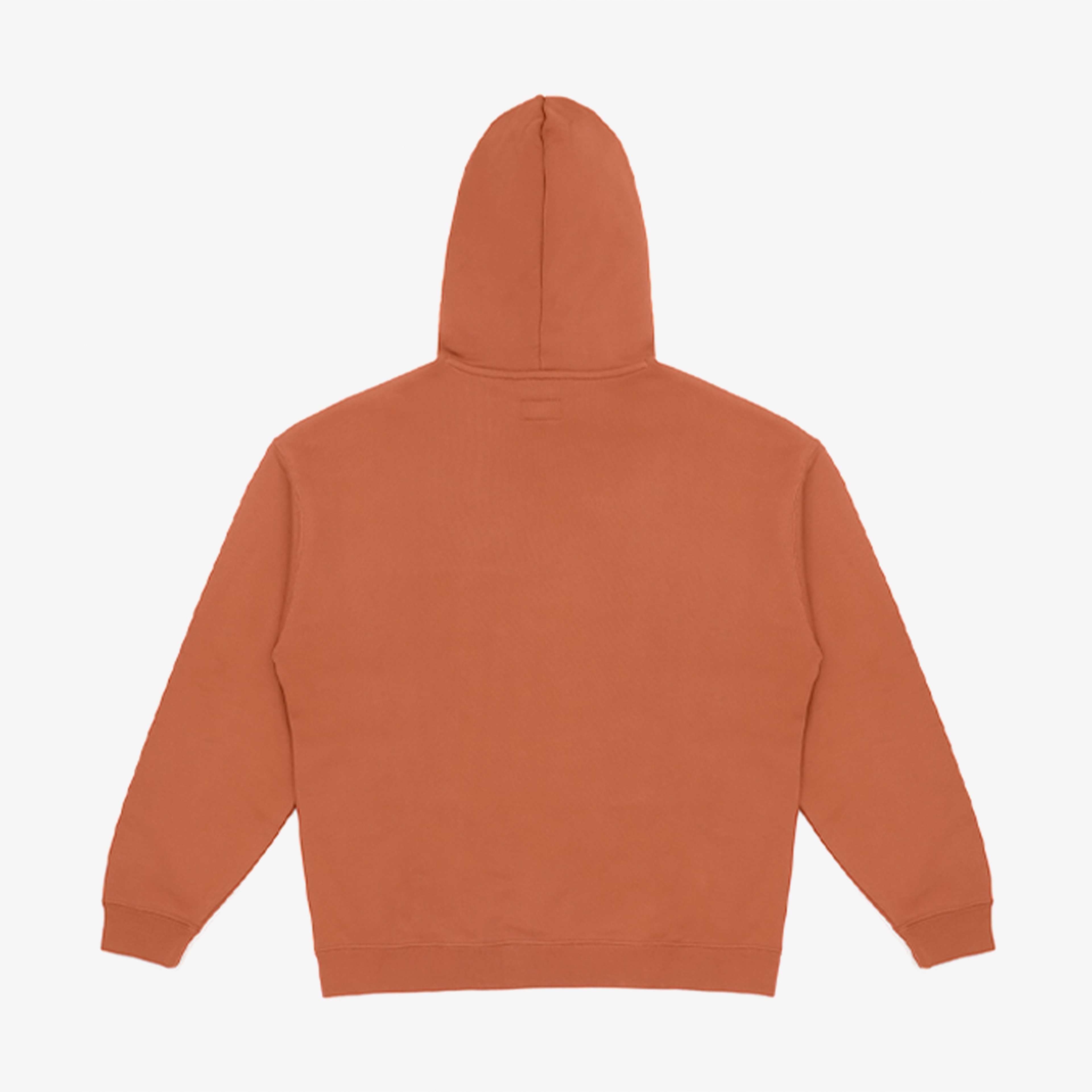 Converse Ssnl Elevated Logo Graphic Erkek Kahverengi Hoodie