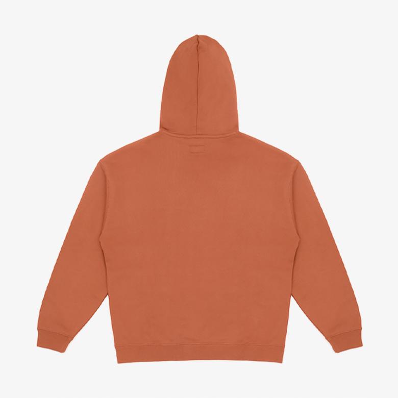 Converse Ssnl Elevated Logo Graphic Erkek Kahverengi Hoodie