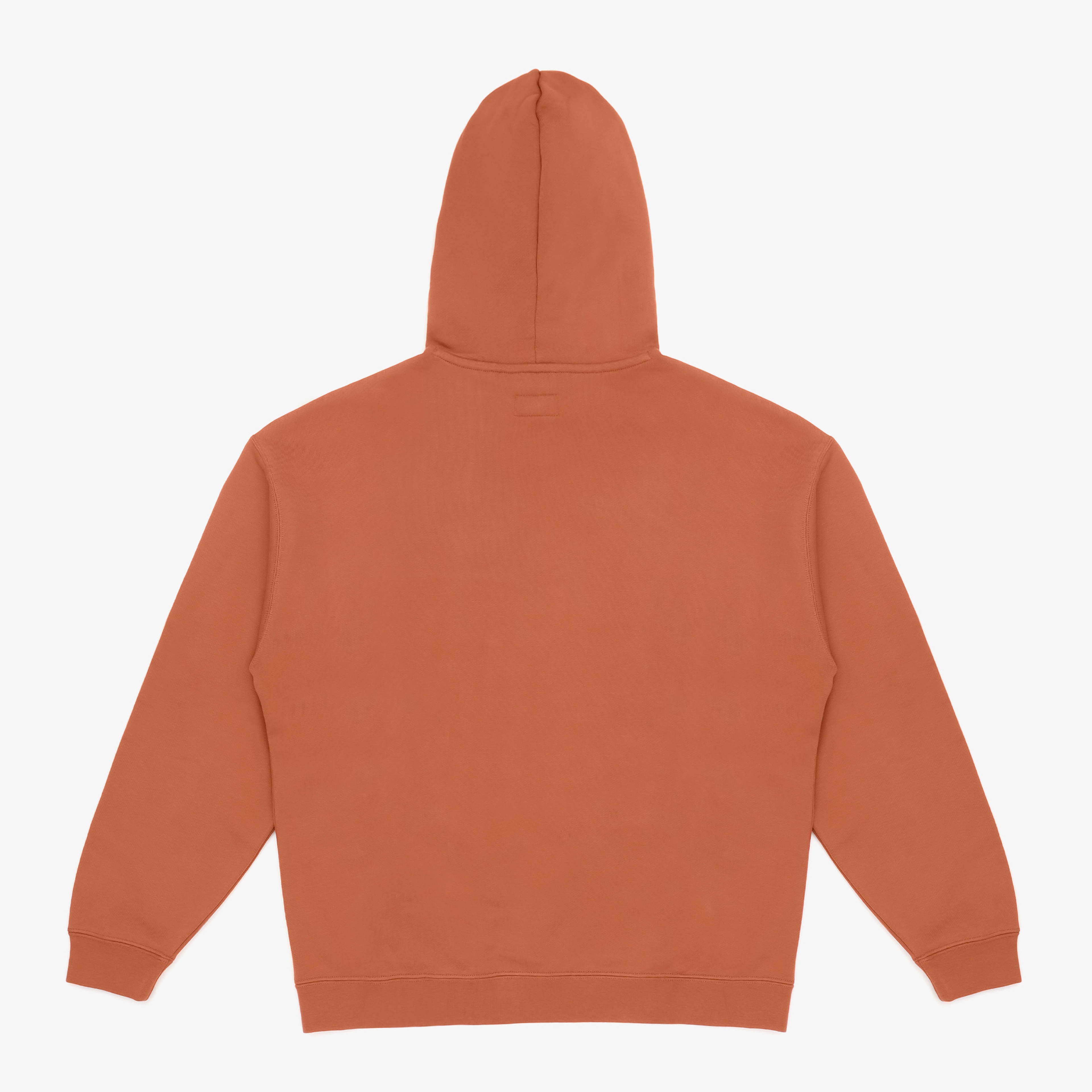 Converse Ssnl Elevated Logo Graphic Erkek Turuncu Hoodie