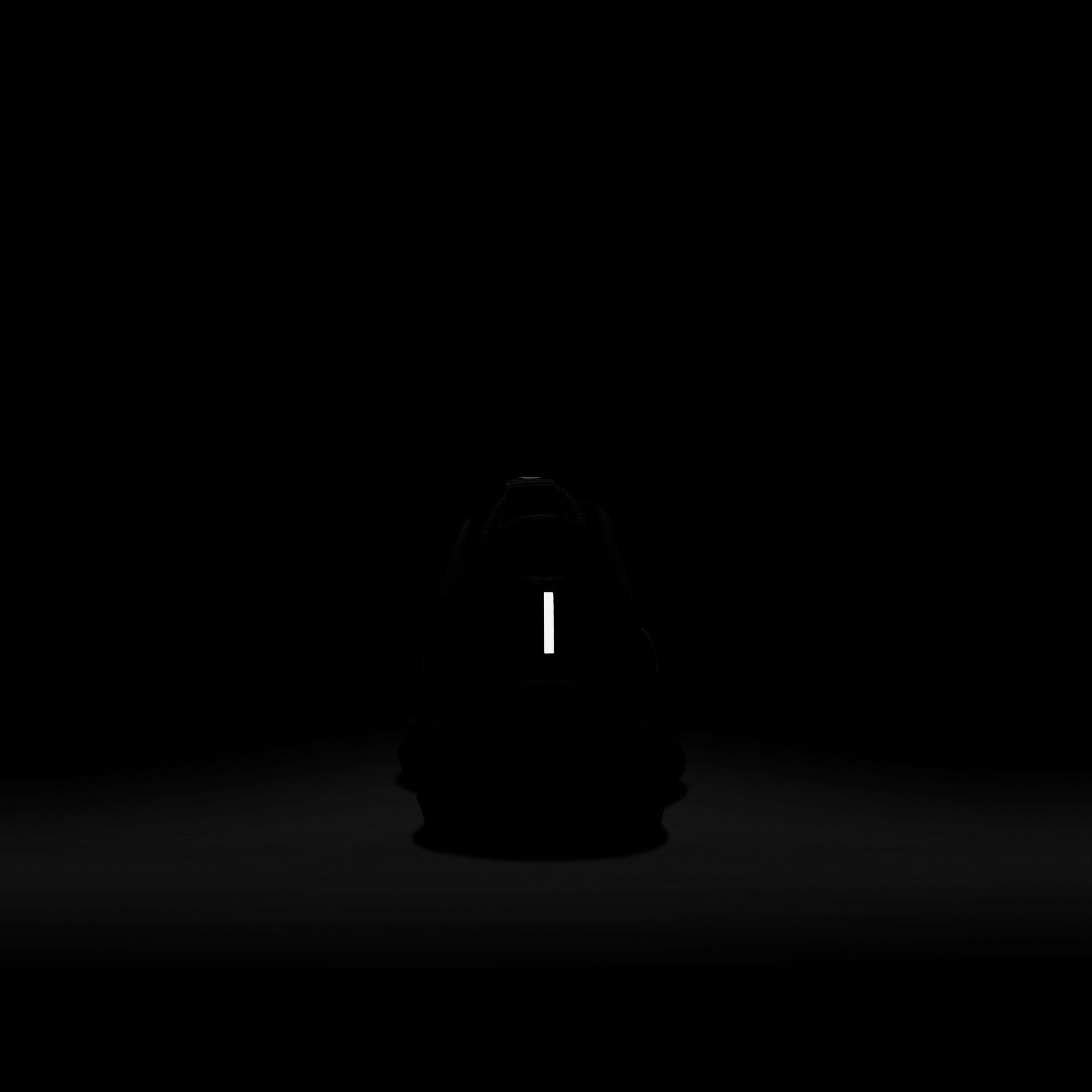 Nike Air Zoom Pegasus 40 Erkek Siyah Koşu Ayakkabısı