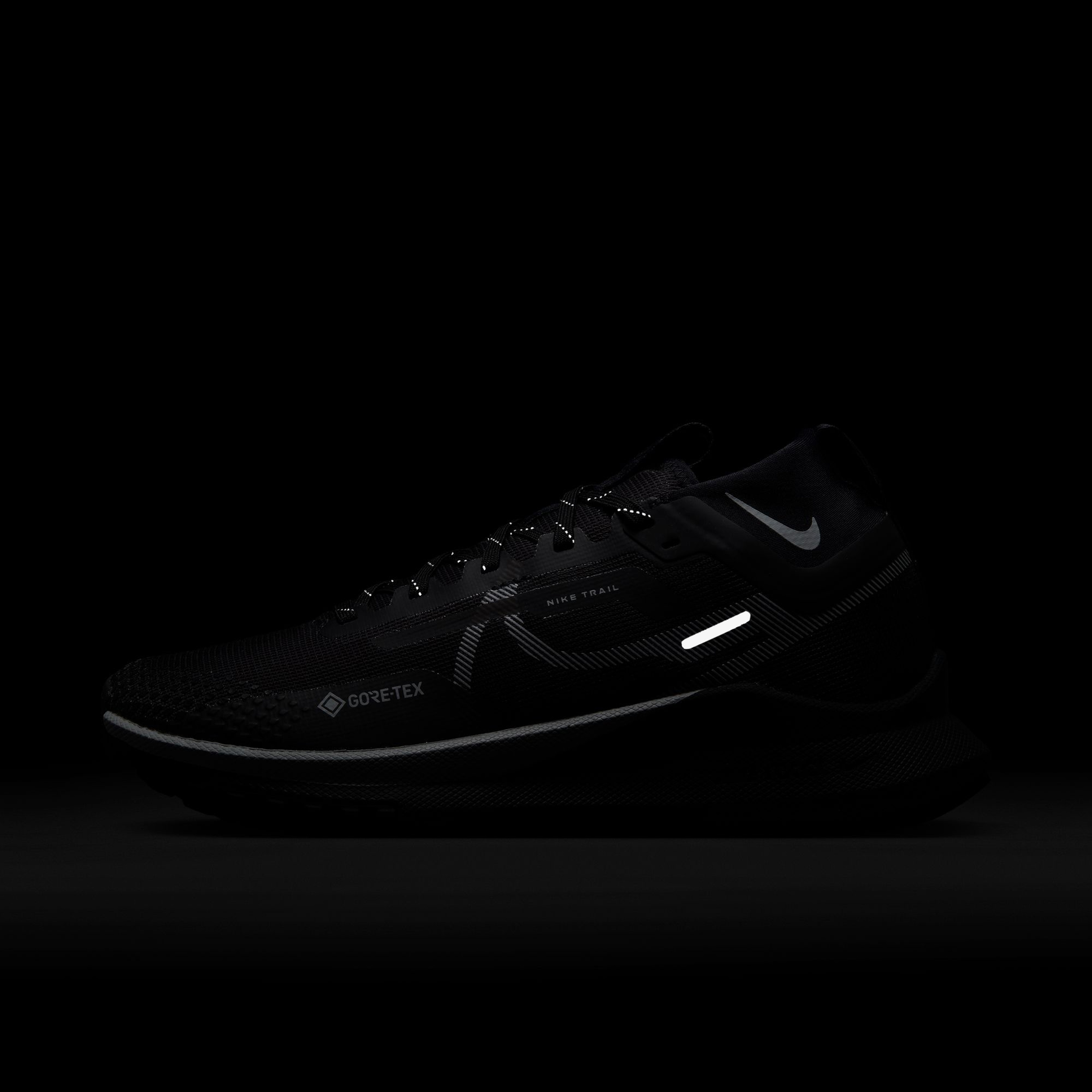 Nike Pegasus Trail 4 Gore-Tex Kadın Siyah Koşu Ayakkabısı