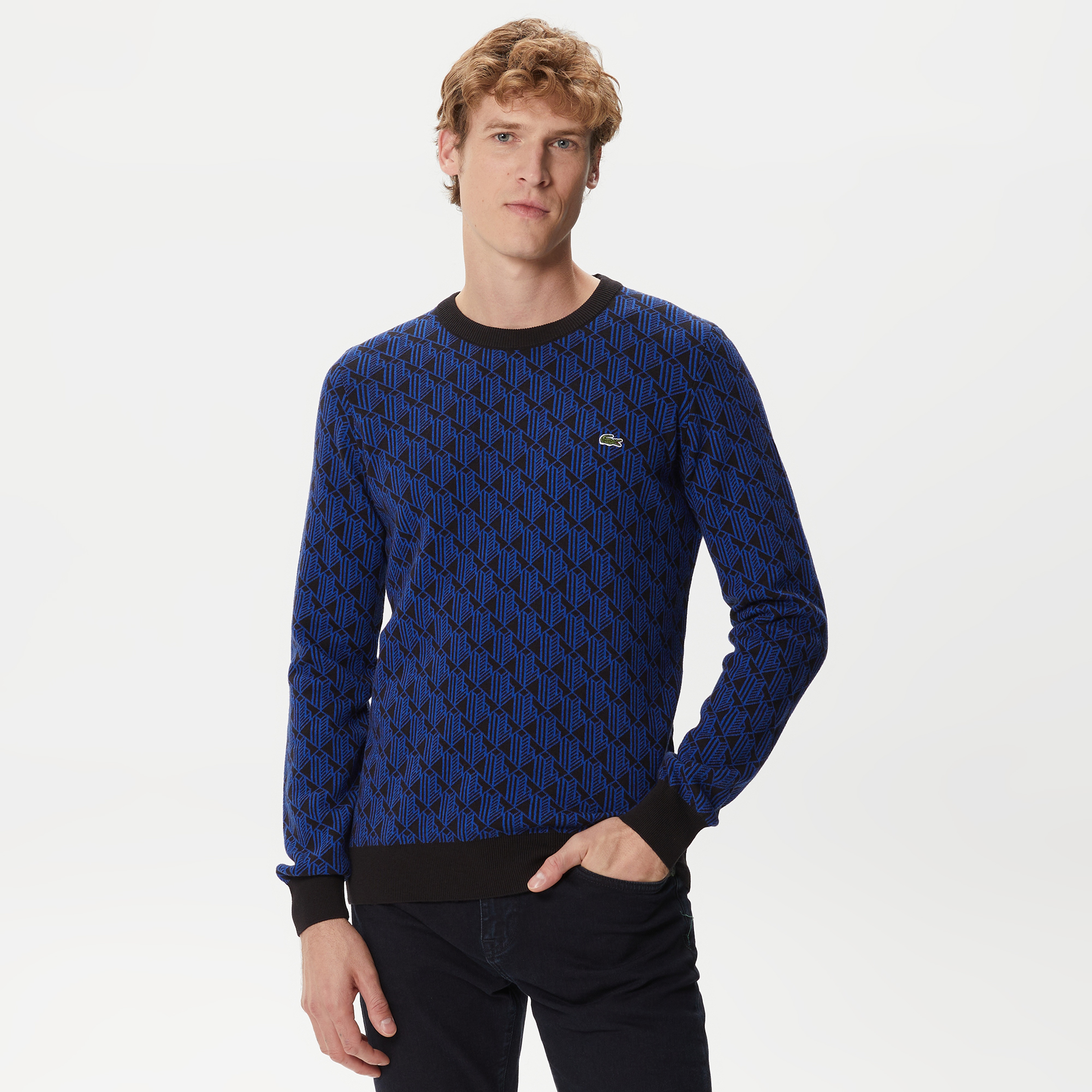 Erkek Regular Fit Uzun Kollu Bisiklet Yaka Desenli Mavi Triko