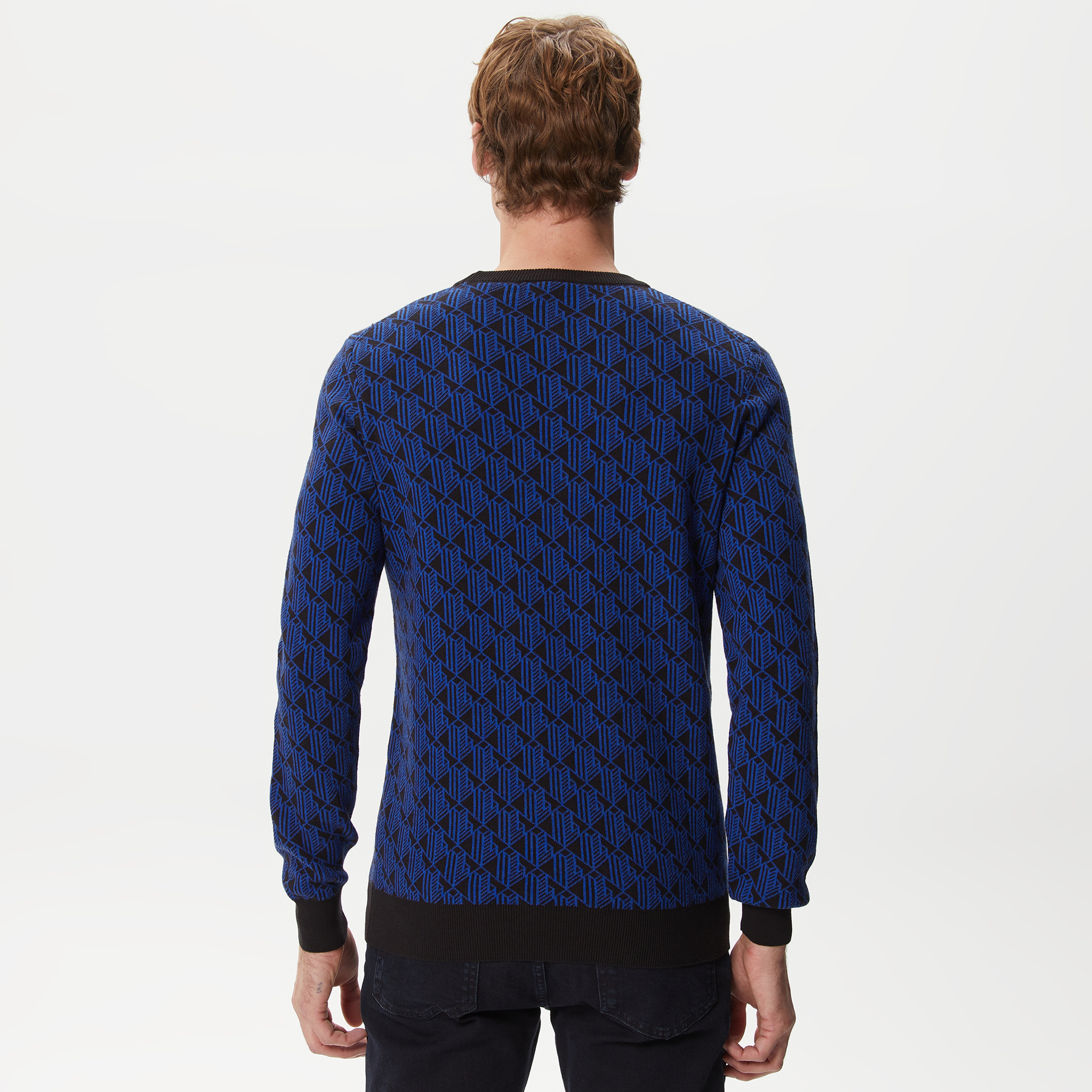 Erkek Regular Fit Uzun Kollu Bisiklet Yaka Desenli Mavi Triko