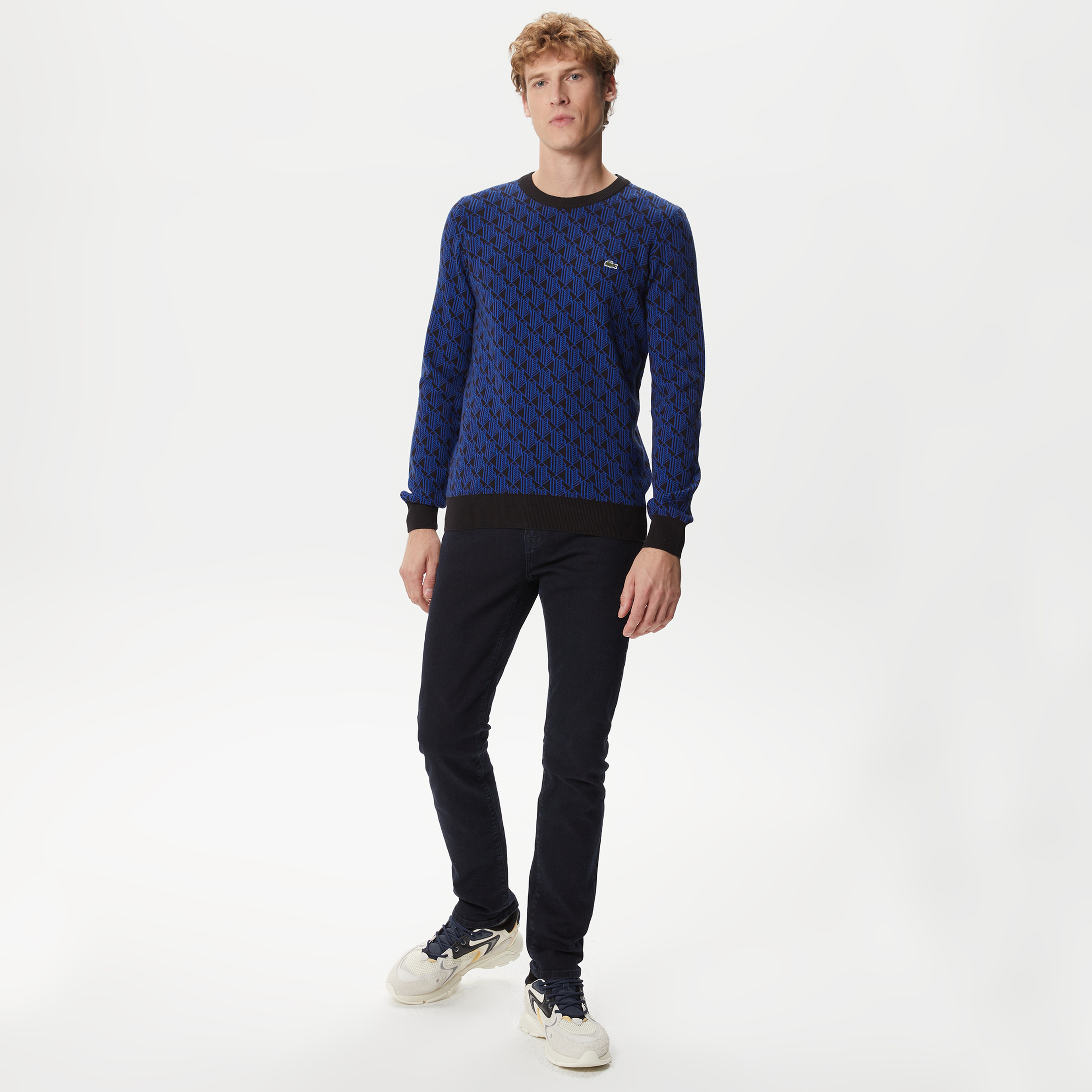 Erkek Regular Fit Uzun Kollu Bisiklet Yaka Desenli Mavi Triko