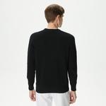 Erkek Regular Fit Bisiklet Yaka Siyah Triko