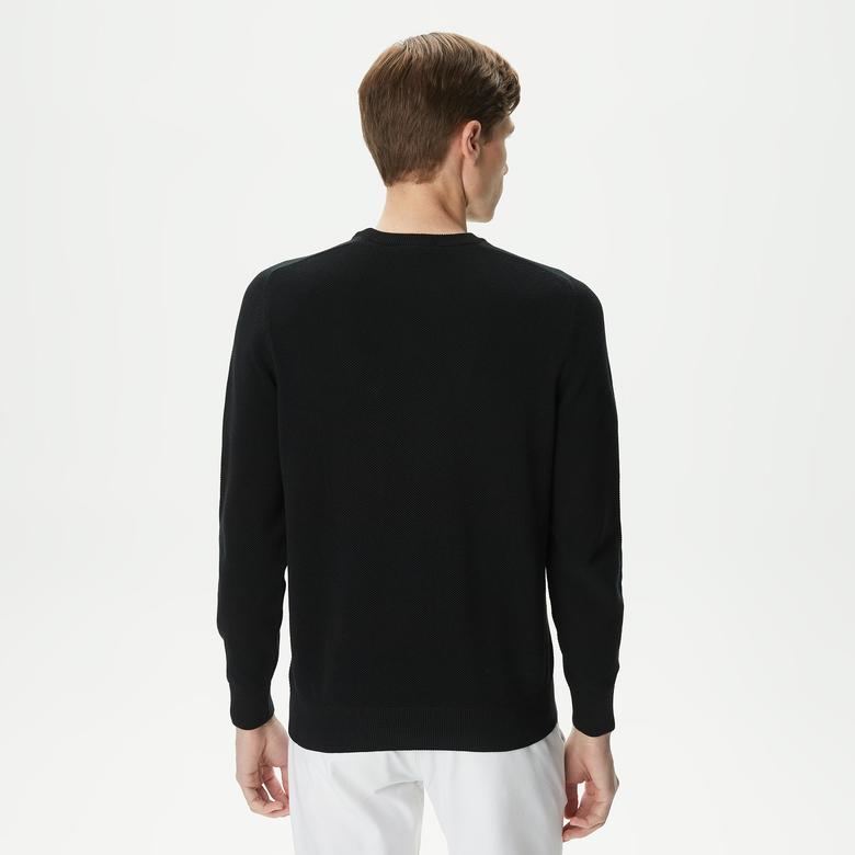 Erkek Regular Fit Bisiklet Yaka Siyah Triko