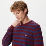 Erkek Regular Fit Uzun Kollu Bisiklet Yaka Çizgili Bordo Triko