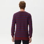 Erkek Regular Fit Uzun Kollu Bisiklet Yaka Çizgili Bordo Triko