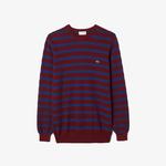 Erkek Regular Fit Uzun Kollu Bisiklet Yaka Çizgili Bordo Triko