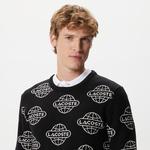 Erkek Regular Fit Uzun Kollu Bisiklet Yaka Desenli Siyah Triko