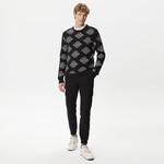 Erkek Regular Fit Uzun Kollu Bisiklet Yaka Desenli Siyah Triko