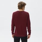 Erkek Regular Fit Bisiklet Yaka Bordo Triko