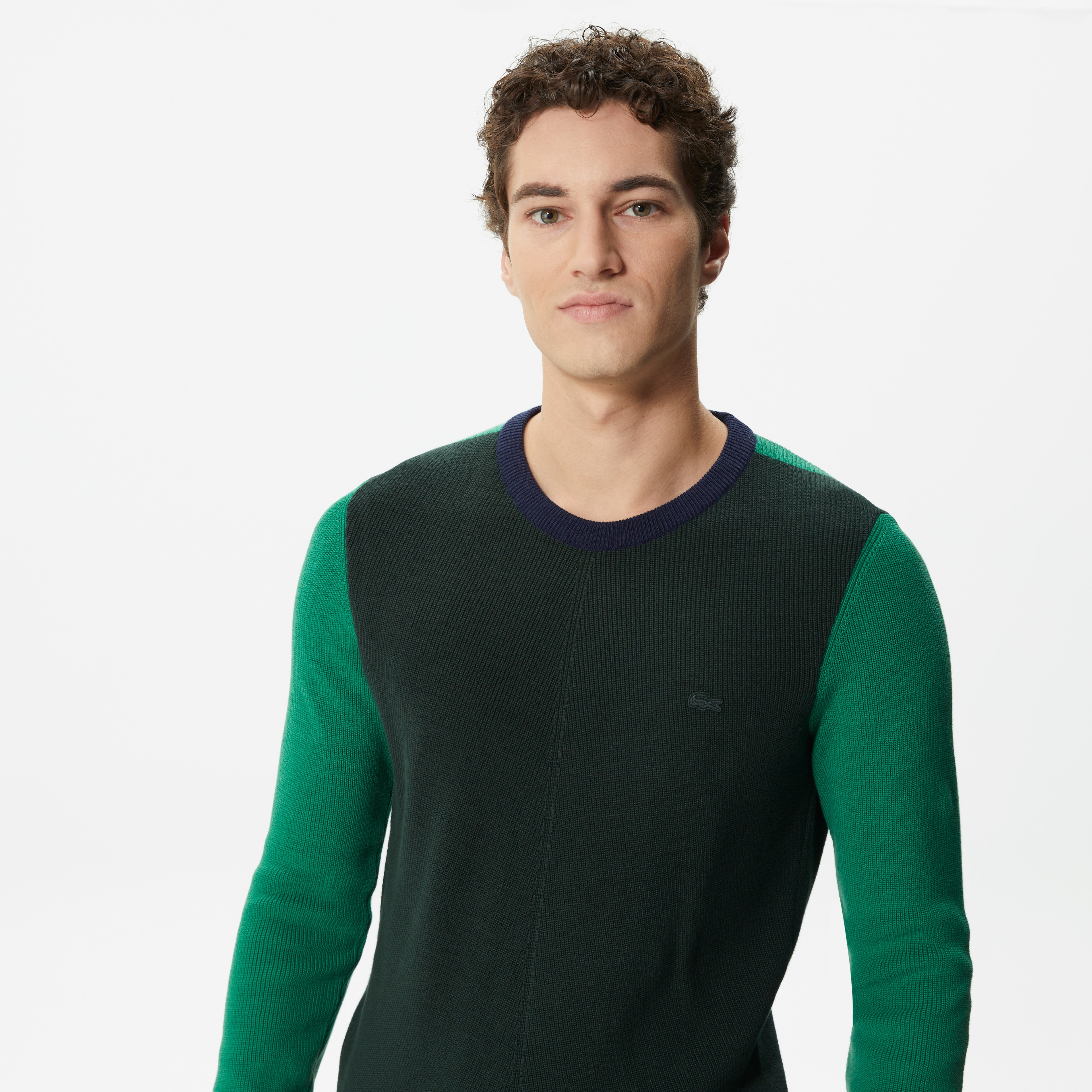 Erkek Regular Fit Uzun Kollu Bisiklet Yaka Renk Bloklu Koyu Yeşil Triko