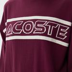 Kadın Regular Fit Dik Yaka Baskılı Bordo Kazak