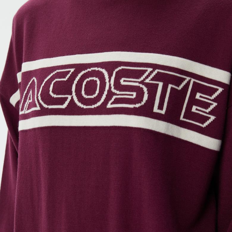 Kadın Regular Fit Dik Yaka Baskılı Bordo Kazak