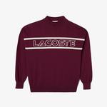 Kadın Regular Fit Dik Yaka Baskılı Bordo Kazak