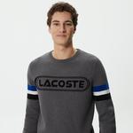 Erkek Regular Fit Uzun Kollu Bisiklet Yaka Renk Bloklu Koyu Gri Triko