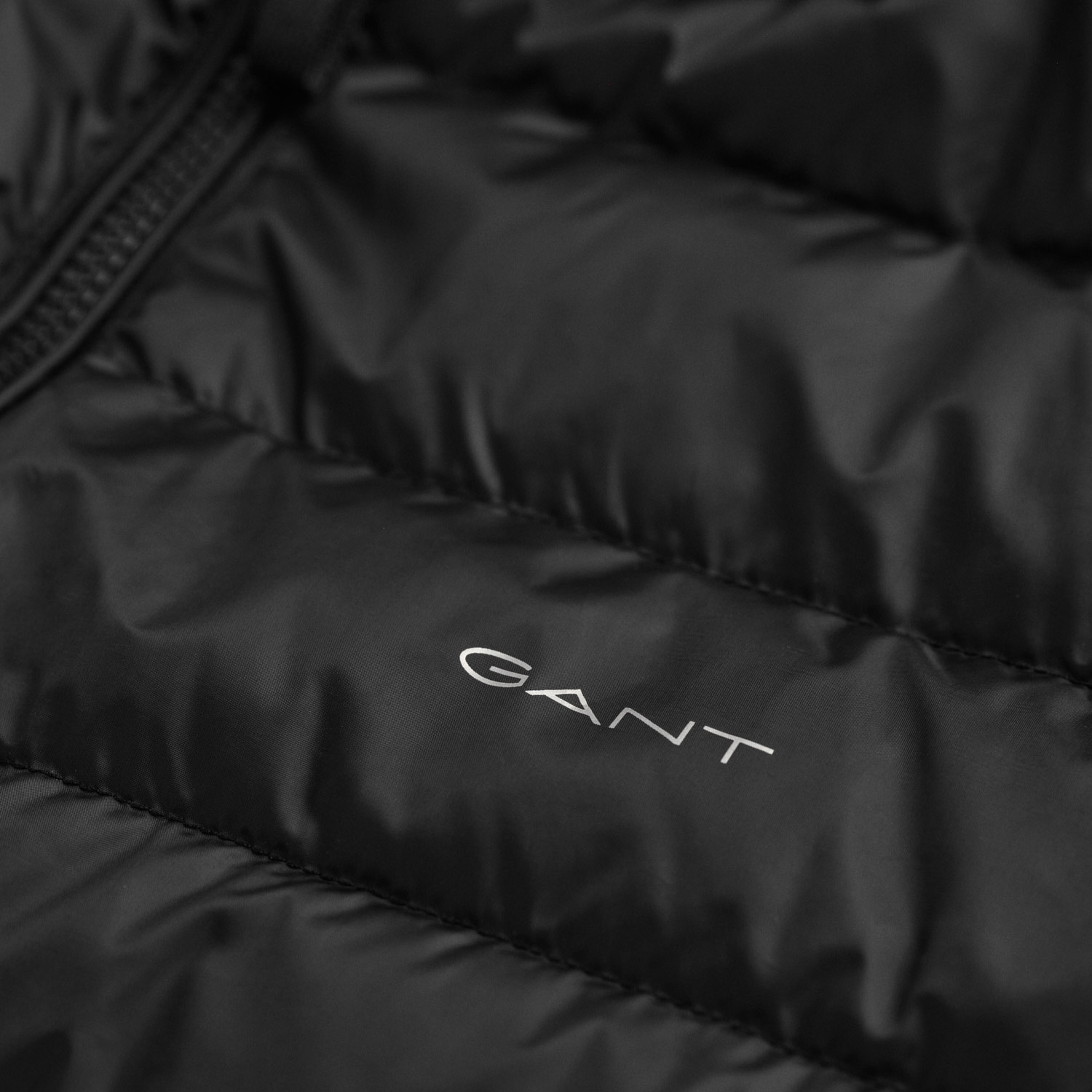 GANT Erkek Siyah Dik Yaka Kapitone Mont