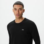 Lacoste Erkek Regular Fit Bisiklet Yaka Siyah Triko