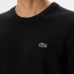 Lacoste Erkek Regular Fit Bisiklet Yaka Siyah Triko