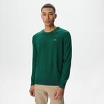 Lacoste Erkek Regular Fit Bisiklet Yaka Yeşil Triko