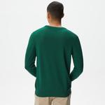 Lacoste Erkek Regular Fit Bisiklet Yaka Yeşil Triko