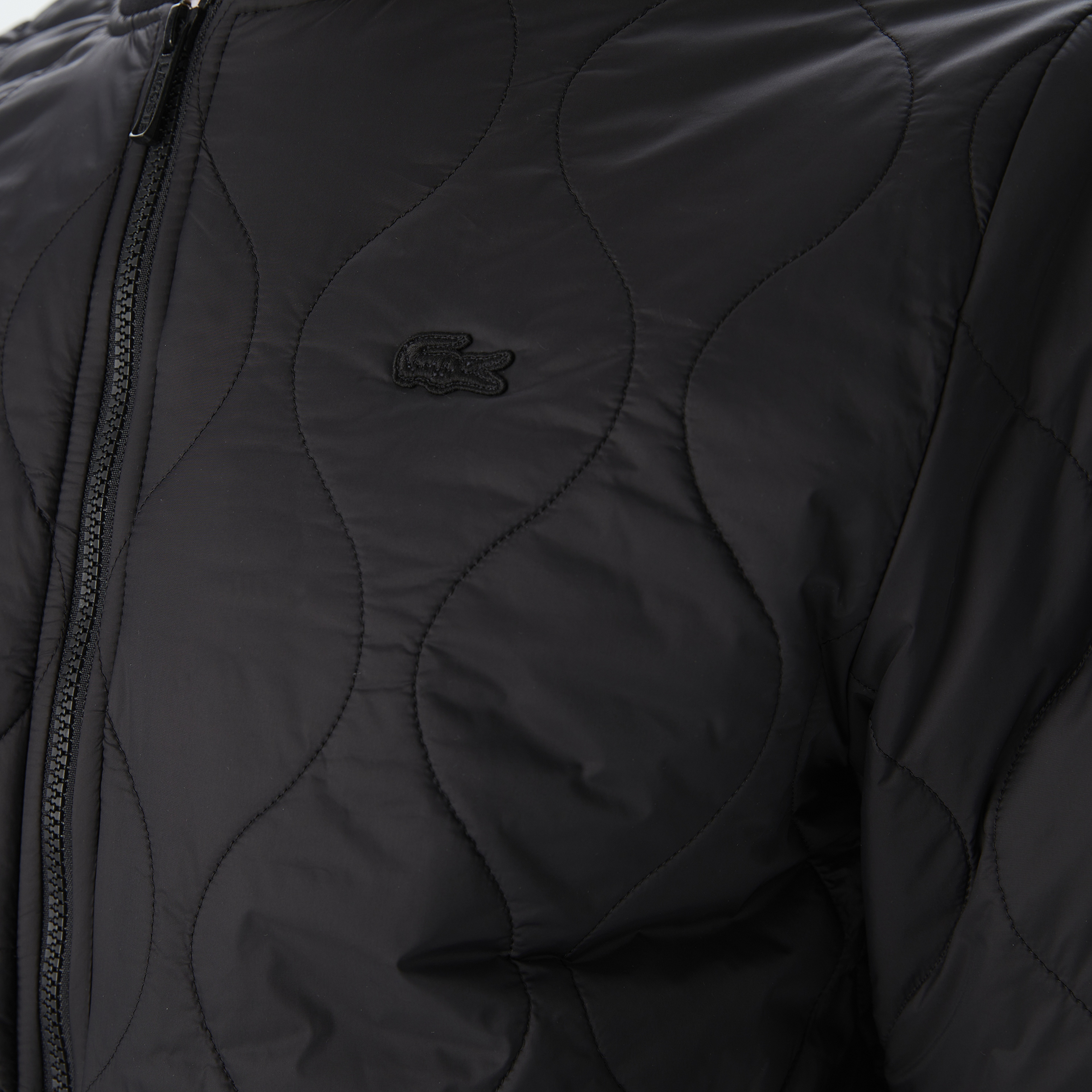 Erkek Dik Yaka Kapitone Siyah Mont