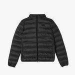 Kadın Dik Yaka Kapitone Siyah Mont