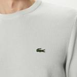 Erkek Regular Fit Bisiklet Yaka Gri Kazak