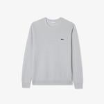 Erkek Regular Fit Bisiklet Yaka Gri Kazak