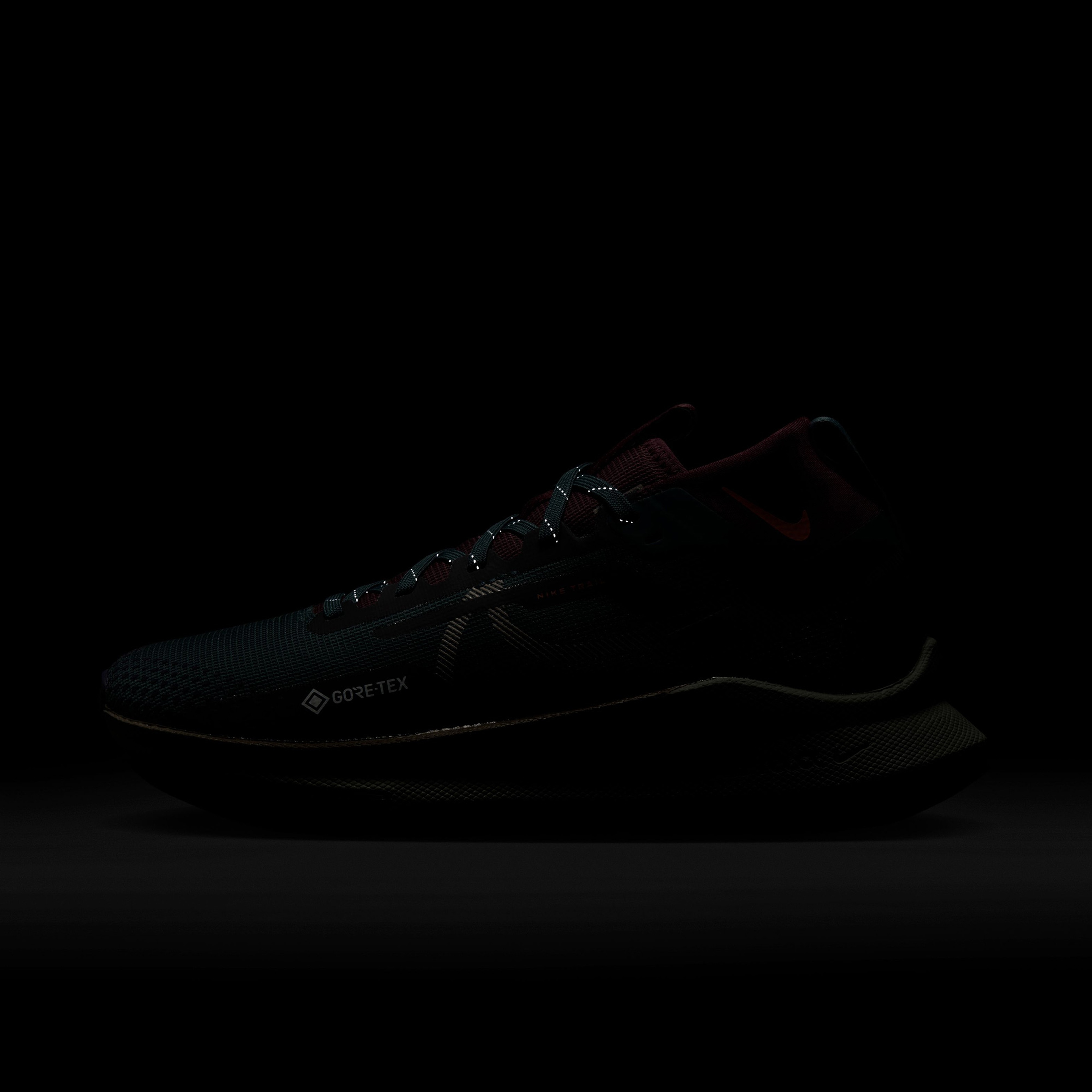 Nike React Pegasus Trail 4 Gore-Tex Kadın Siyah Koşu Ayakkabısı