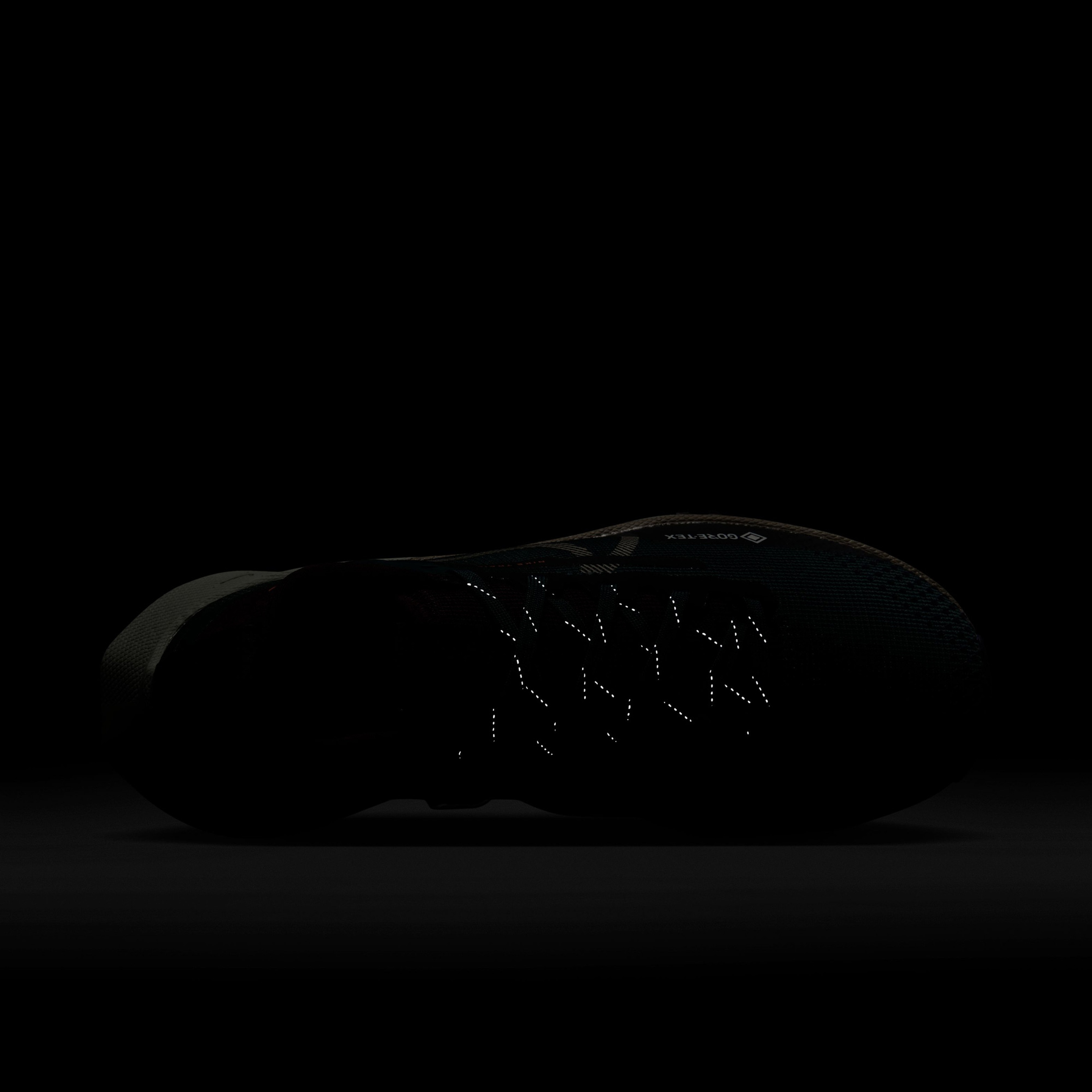 Nike React Pegasus Trail 4 Gore-Tex Kadın Siyah Koşu Ayakkabısı