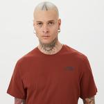 The North Face Redbox Celebration Erkek Kahverengi T-Shirt