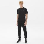 The North Face Redbox Celebration Erkek Siyah T-Shirt