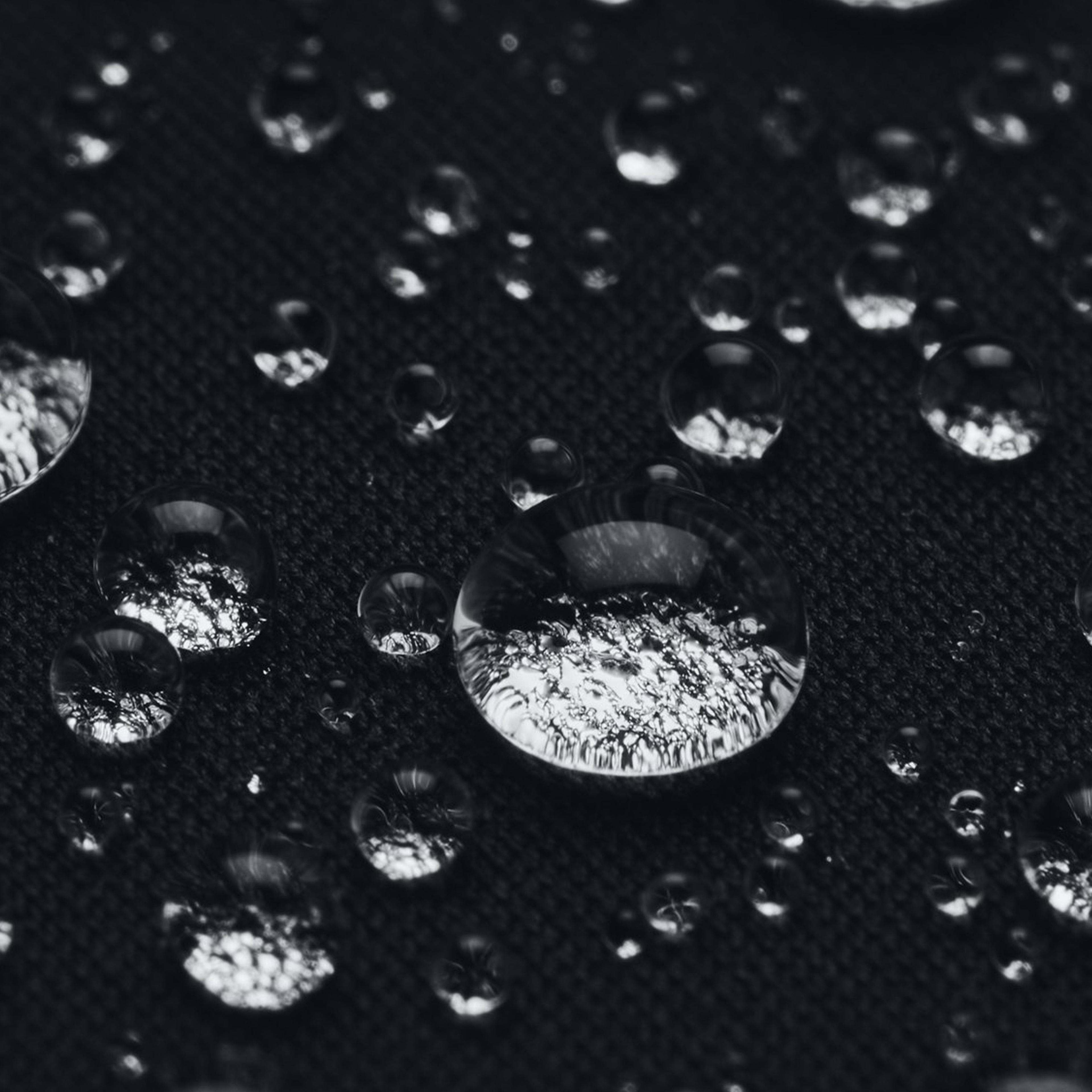 Under Armour Erkek Siyah Pantolon